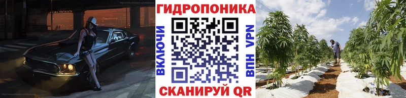 блэк спрут как войти  Благовещенск  Шишки марихуана сатива 